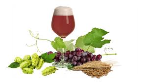 Italian Grape Ale